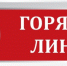 В Аппарате Уполномоченного по правам ребенка в Республике Татарстан будет организована работа «горячей линии» - Бавлинский муниципальный район