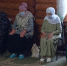 Фотогалерея - Бавлы-информ