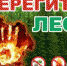 В РТ действует штромовое предупреждение о сохранении высокой и чрезвычайной пожарной опасности лесов - Бавлы-информ