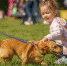 Российских застройщиков обяжут создавать игровые и дрессировочные площадки для собак - Бавлы-информ