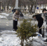 Бавлинские школьники за чистоту города - Бавлы-информ