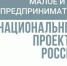 Cервис «Центр поддержки инвестиционного кредитования» - Бавлинский муниципальный район