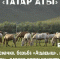 В Татарстане состоится фестиваль «Татар аты» - Бавлы-информ