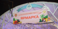 29 декабря в Татарстане пройдут заключительные сельхозярмарки этого года - Бавлы-информ