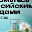 Проект «Платформа роста» - Бавлинский муниципальный район