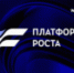 Платформа роста - Бавлинский муниципальный район