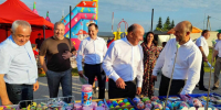 Добрососедство в действии: в Тюлячах прошел фестиваль «Наш двор» - Бавлы-информ