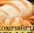 В Бавлах состоится праздничная сельскохозяйственная ярмарка, посвящённая Дню пожилых людей - Бавлинский муниципальный район