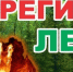 Экстренное предупреждение! О высокой и чрезвычайной пожарной опасности лесов. - Бавлинский муниципальный район