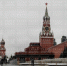 23 ноября в Москве пройдет Всероссийский конгресс наблюдателей - Бавлы-информ