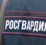 Росгвардия представила новый онлайн-сервис для усиления антитеррористической защищенности объектов на территории страны. - Бавлы-информ