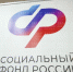 В Отделении СФР по Татарстану назвали самые востребованные меры поддержки - Бавлы-информ