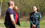 В Бавлинском районе проходят рейды по выявлению несанкционированных свалок вдоль дорог