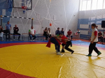 В Бавлах проходит республиканский фестиваль-конкурс по национальной борьбе куреш «Юные батыры»