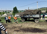 Более 300 кубометров мусора вывезли с кладбищ Бавлов после субботников