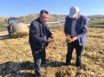 Провели осмотр сельхозформирований Бавлинского муниципального района